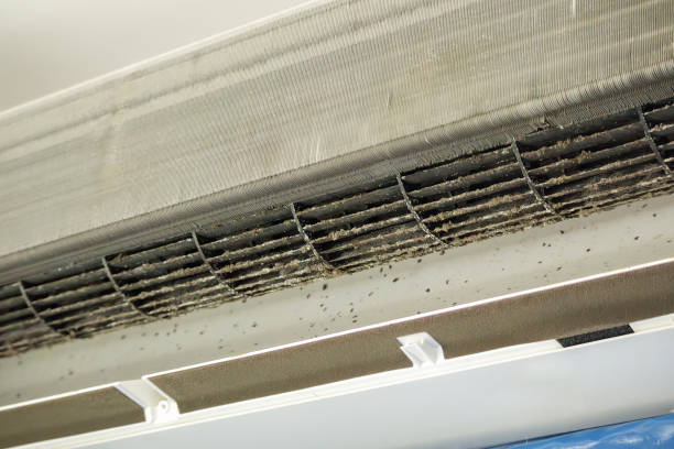 Best Affordable Air Duct Cleaning  in Delavan, WI