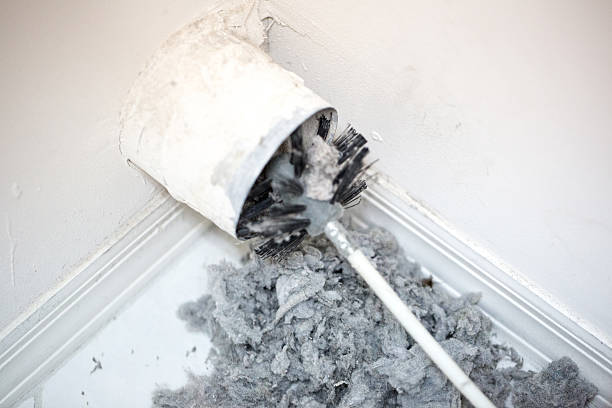Best Air Duct Inspection  in Delavan, WI