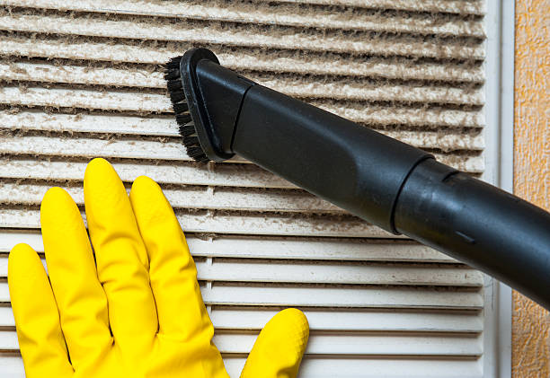 Best Affordable Duct Cleaning Services  in Delavan, WI
